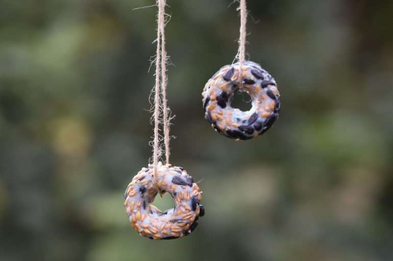 Vogelfutter Donuts Anleitung DIY