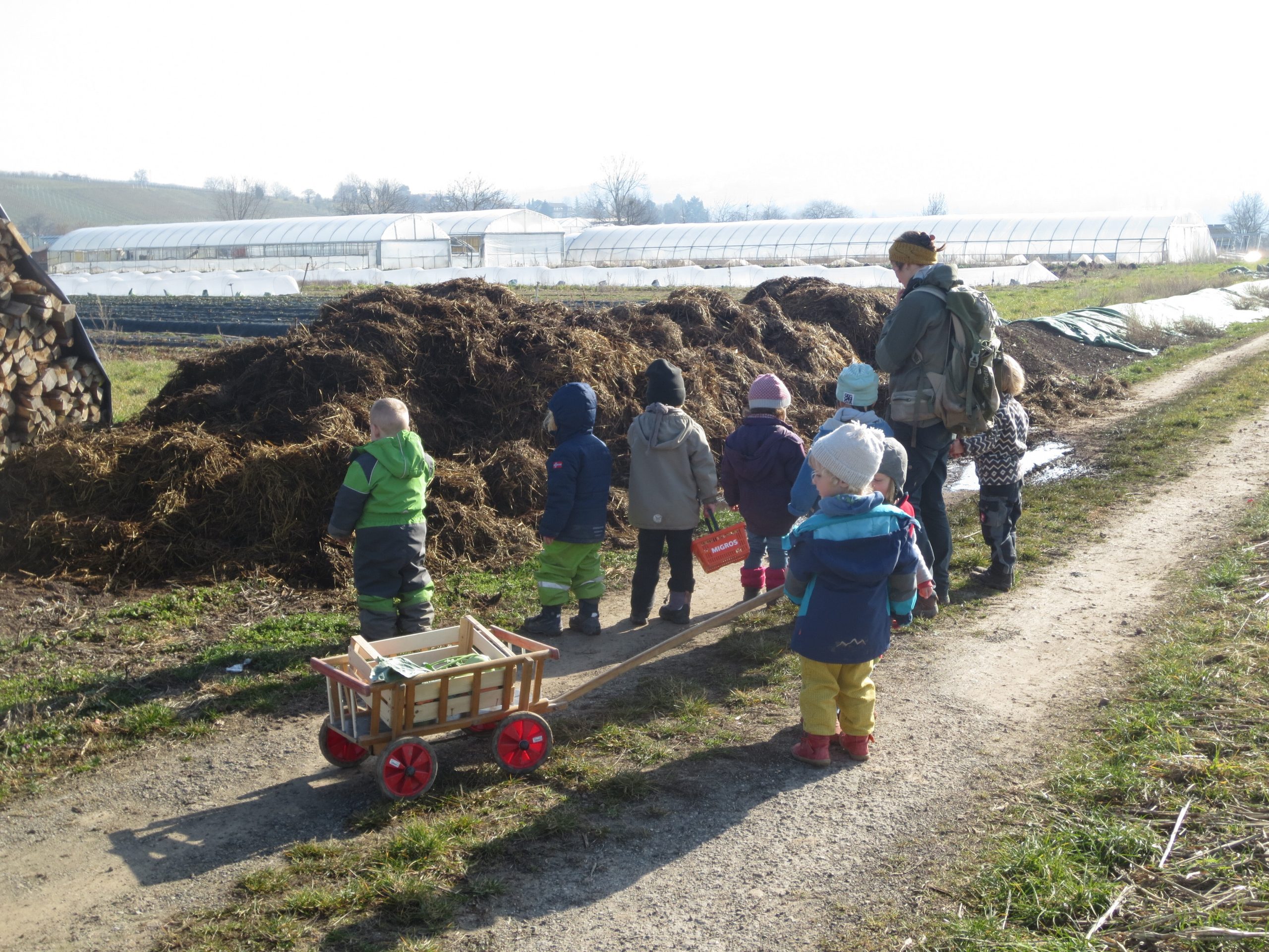  Das erwartet dich und dein Kind in einem Bauernhofkindergarten Illustration 