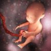 Was spürt ein Baby im Bauch
