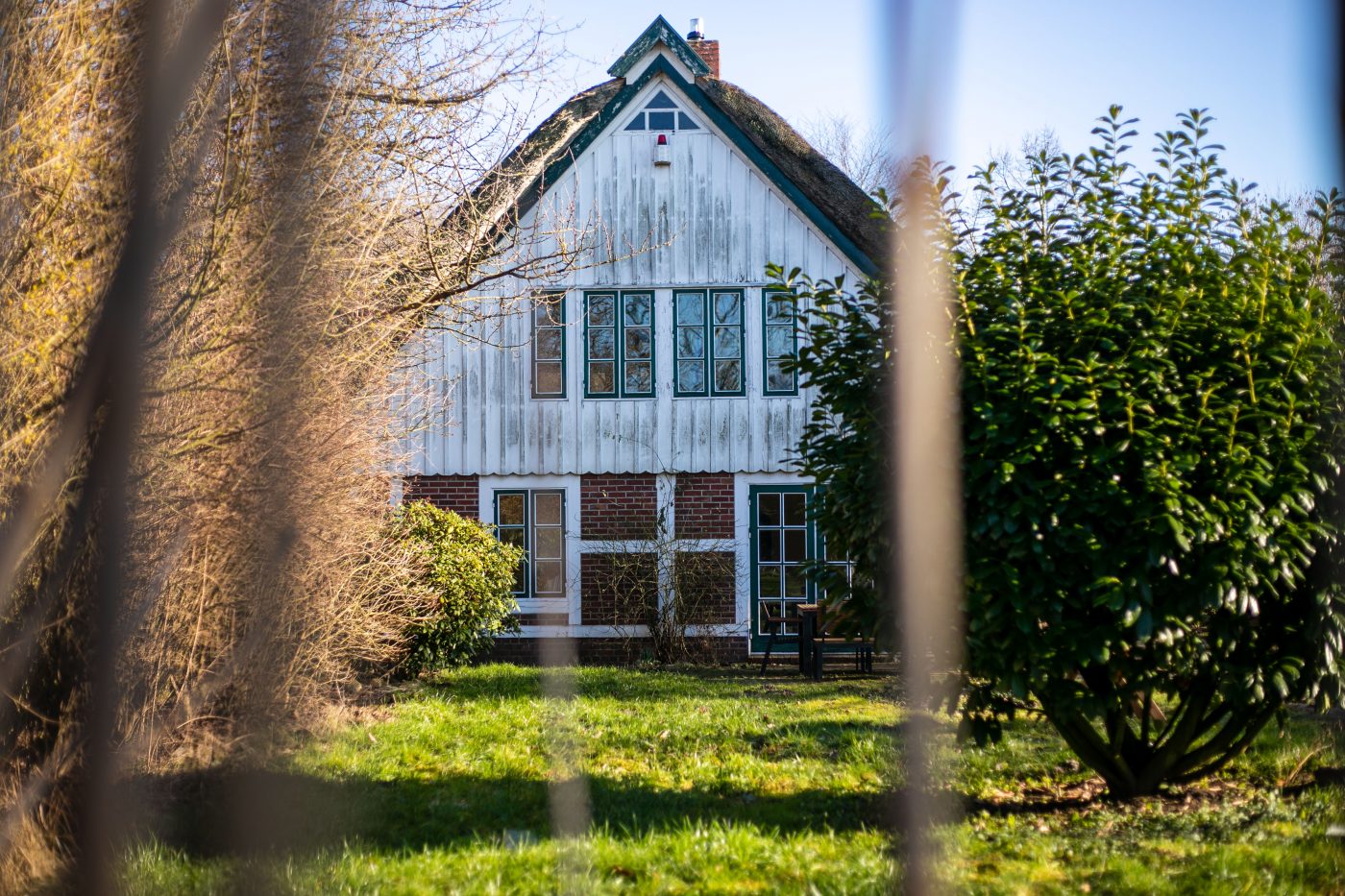 Gebackene Polenta mit Tomaten, Käse und Thymian - Naturkind Magazin