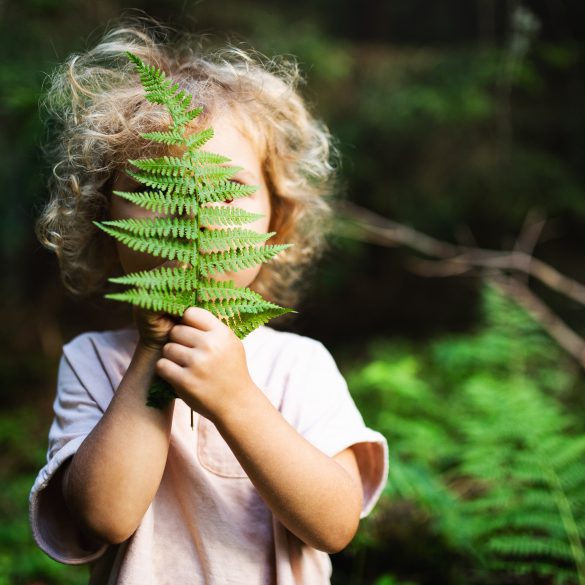 Wald mit Kind Spiele und Ideen