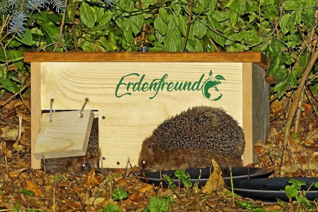 Igelhaus selber bauen, Anleitung