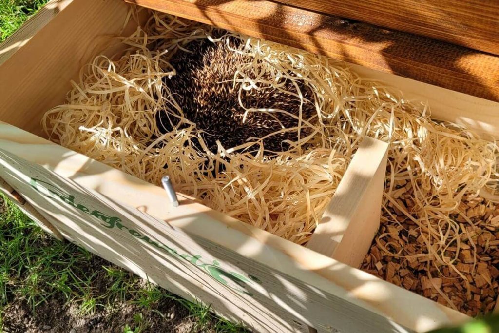 Igelhaus selber bauen