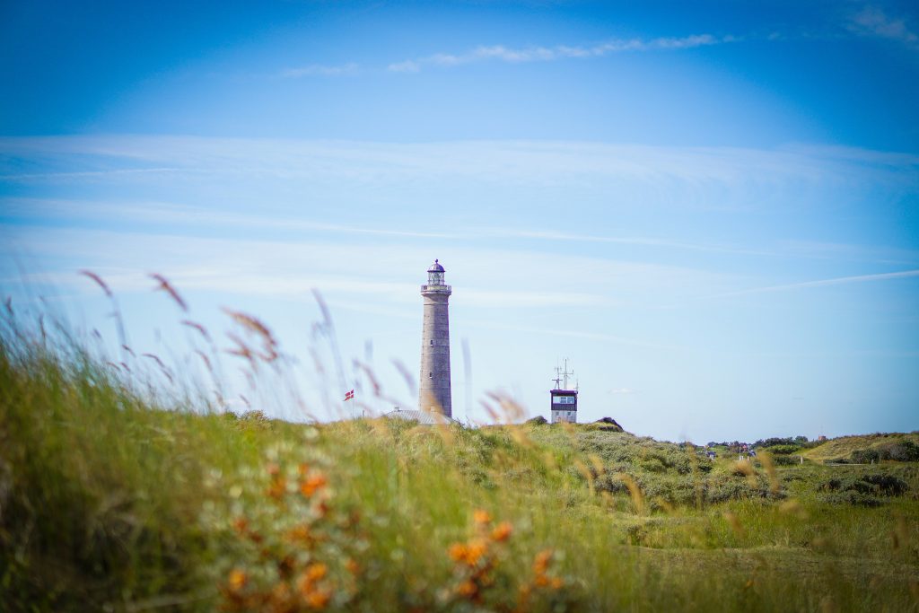 Ferienhaus in Dänemark mieten