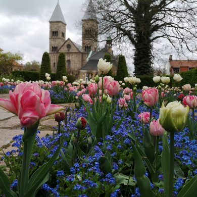 Urlaub in Dänemark, Familie Tipps