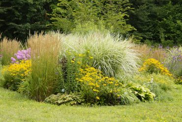 Garten Pflanzen vor Hitze schützen